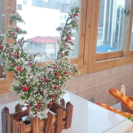 Seoul Central Hotel-2