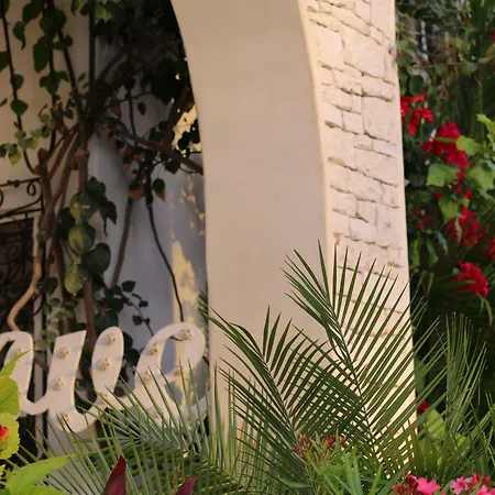 Livetulum-3