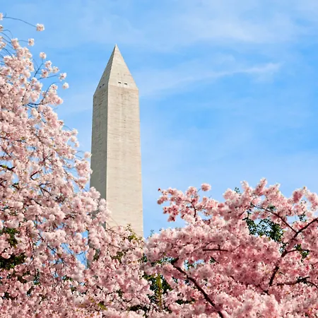 Hyatt Place Washington Dc/White House-3