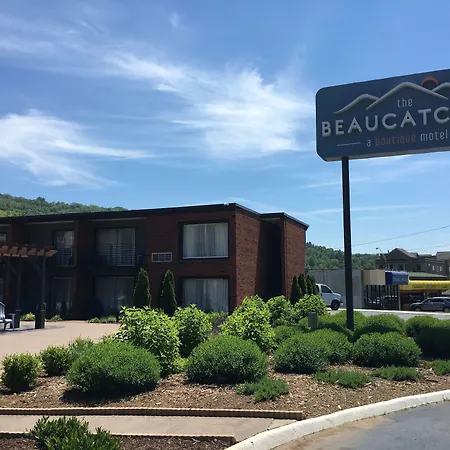 The Beaucatcher, A Boutique Motel-2