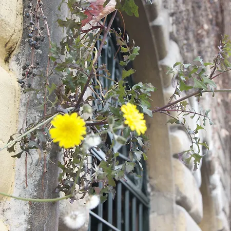 Fori Romani B&B-3