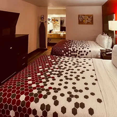 Econo Lodge Inn & Suites Downtown San Antonio-3