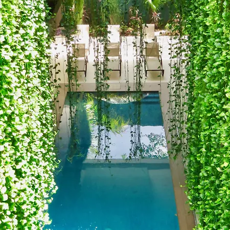 Palmarena Rooms & Residences - Long Stay Comfort With Parking, Sauna, Gym & Pool - Steps From 5Th Avenue-2