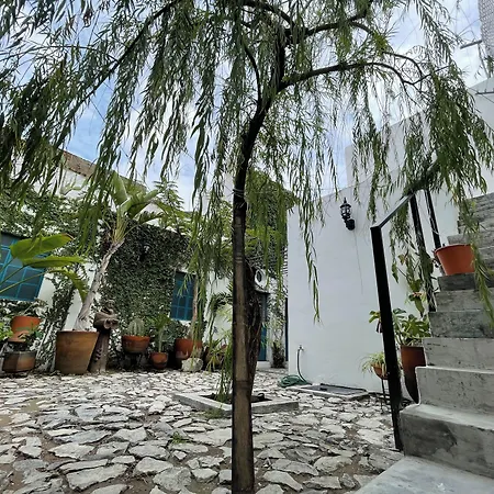 Casa Blanco By Barrio Mexico-3