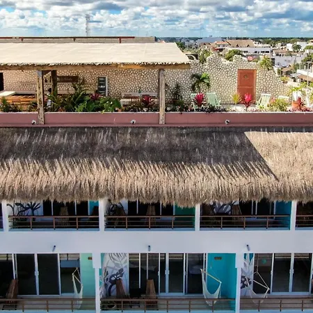 Hotel La Palmita By Mij-2