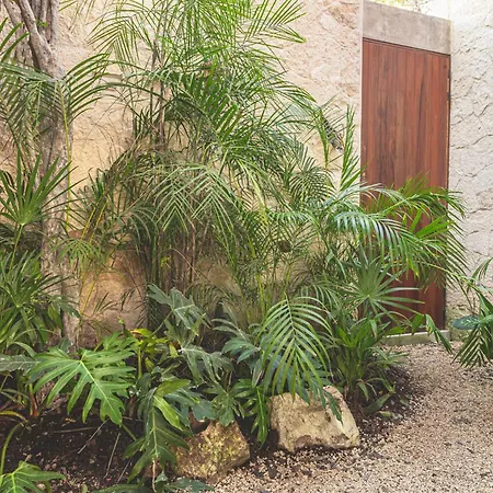Entorno Tulum - Luxury Villas-3