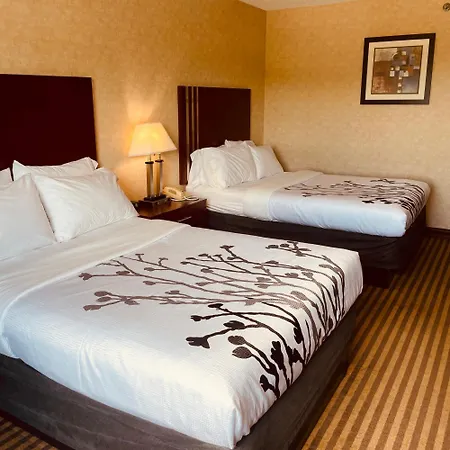Lynchburg Grand Estate By Ihg-3