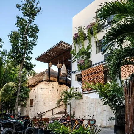 Mayan Monkey Tulum - Social Hostel (Adults Only)-3