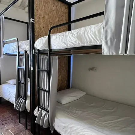 Botanico Hostel-2