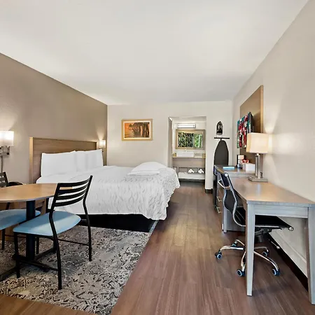 Red Roof Inn Plus+ & Suites Naples Downtown-5Th Ave S-3