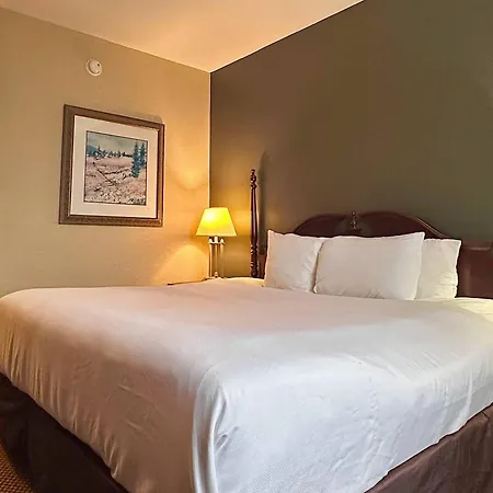 Econo Lodge City Centre-2