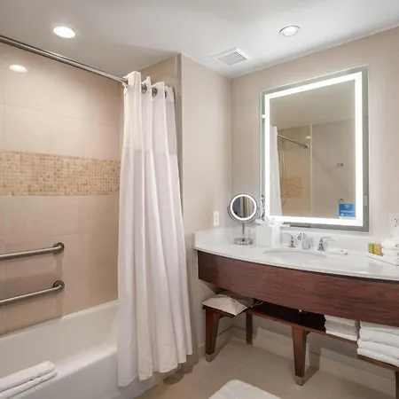 Signia By Hilton Orlando - An Official Walt Disney World Hotel-3