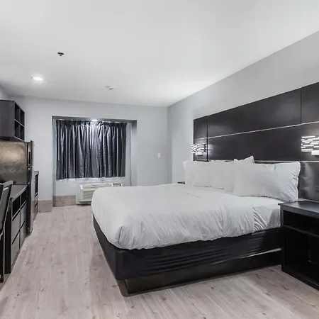 Baymont By Wyndham San Antonio Downtown-2