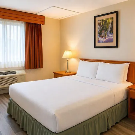 Ace Inn-2