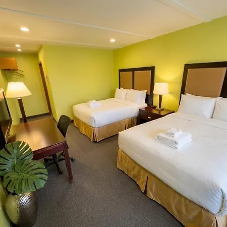 6032 Persepolis Inn-2