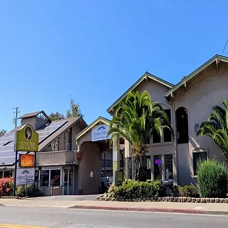 Olive Tree Inn & Suites, A Howard Johnson By Wyndham-3