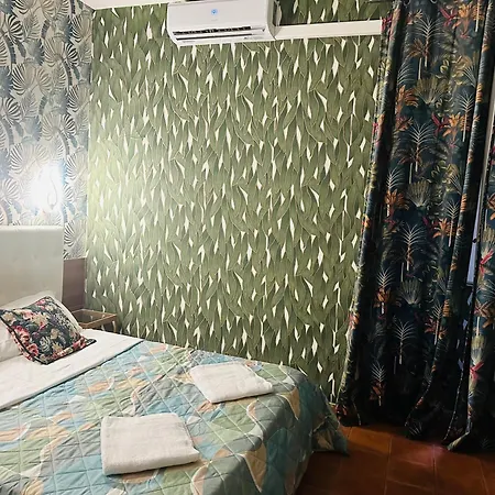 Magenta Roma House-2