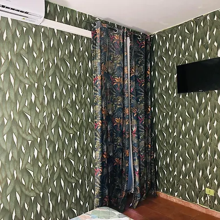 Magenta Roma House-3
