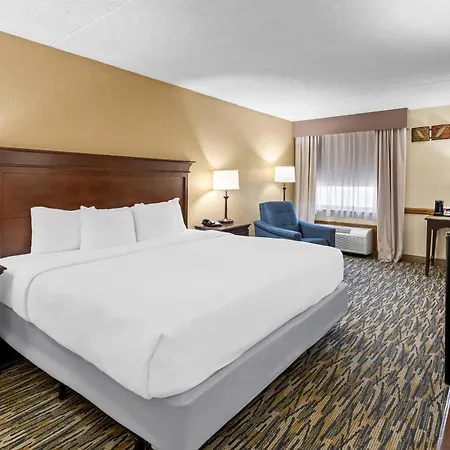 Comfort Inn At Thousand Hills-3