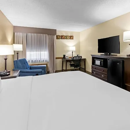 Comfort Inn At Thousand Hills-2