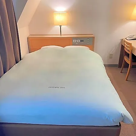 Olympic Inn Kanda-2