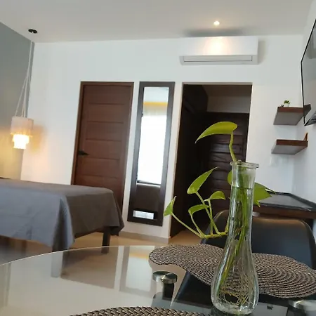 Ah Xok Suites 5A Avenida-2
