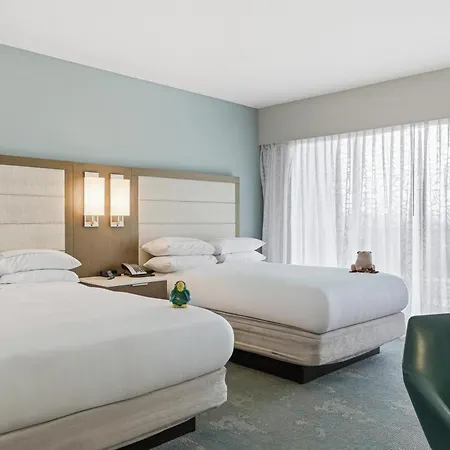 Caribe Hilton-2