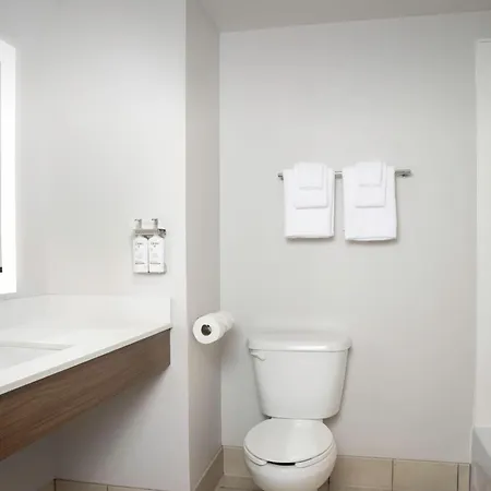 Holiday Inn Express & Suites Pittsburgh North Shore By Ihg-2