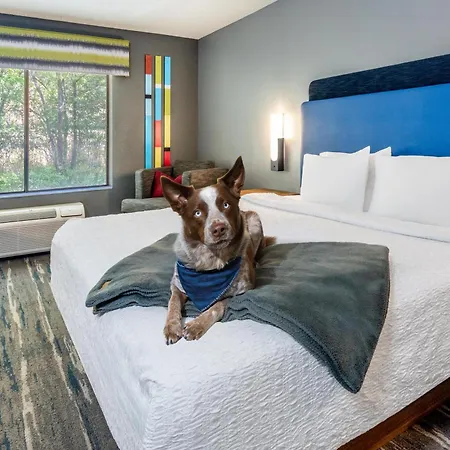 Hampton Inn Glenwood Springs-3
