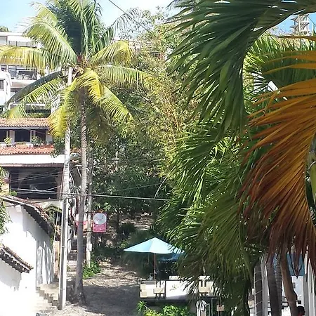 Casa Pancha Puerto Vallarta Centro - Adults Only-2