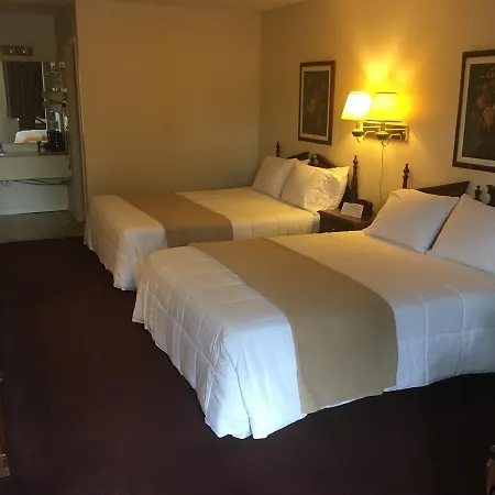 Alpine Lodge-2