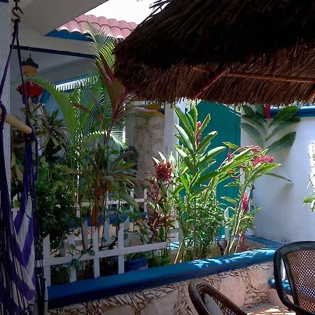 Alicia'S Bed & Breakfast-3