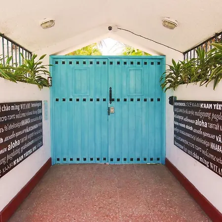 Hotel Villas Colibri Suites & Bungalows-3