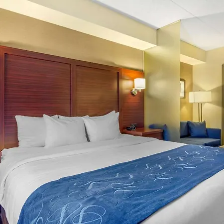 Comfort Suites Downtown Windsor-3