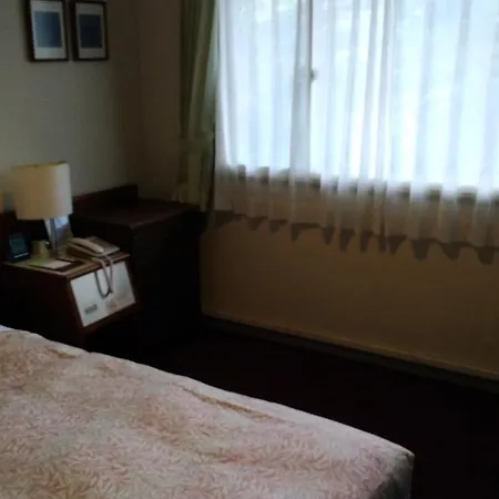 The Palace Side Hotel-2