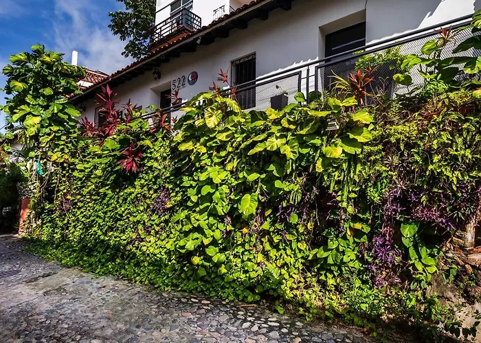 Capital O Hotel 522 Puerto Vallarta
