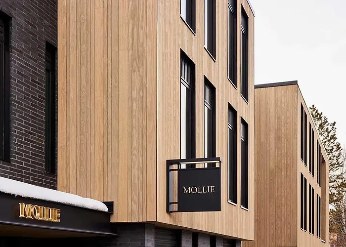 Mollie Aspen Hotel
