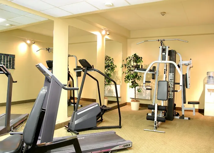 Visitor'S Inn Hamilton