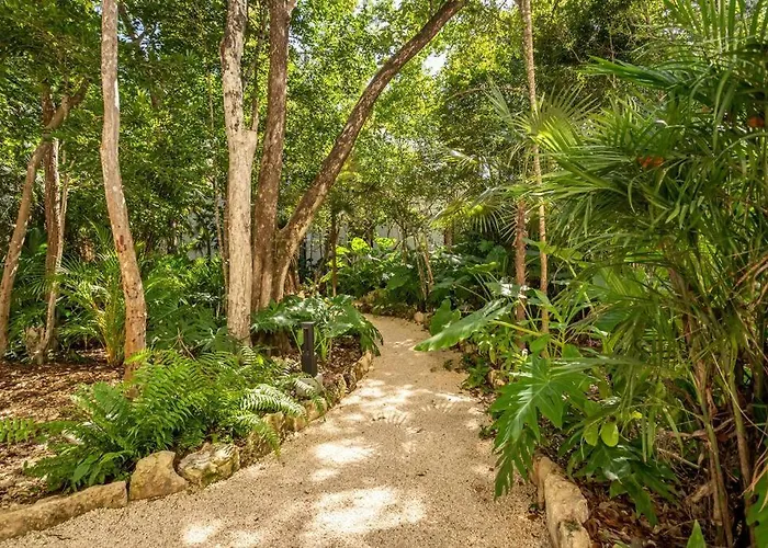 Tuane Tulum Luxury Homes