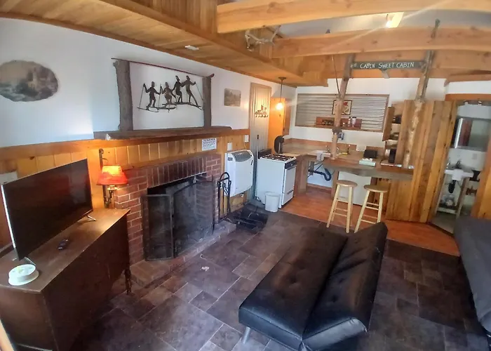 Big Bear Lake - Tulip Lane Cabin #26