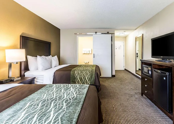 Comfort Inn Detroit Downtown