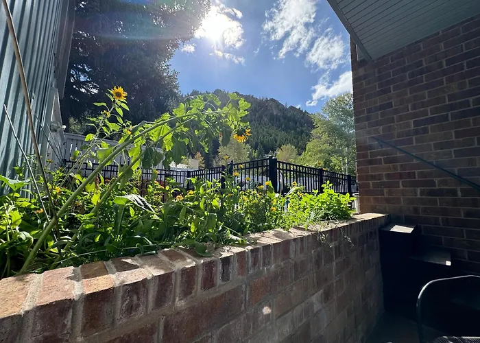 Shadow Mountain Lodge Aspen
