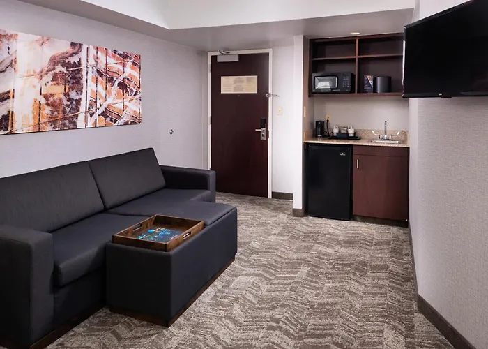 Springhill Suites By Marriott Pittsburgh North Shore