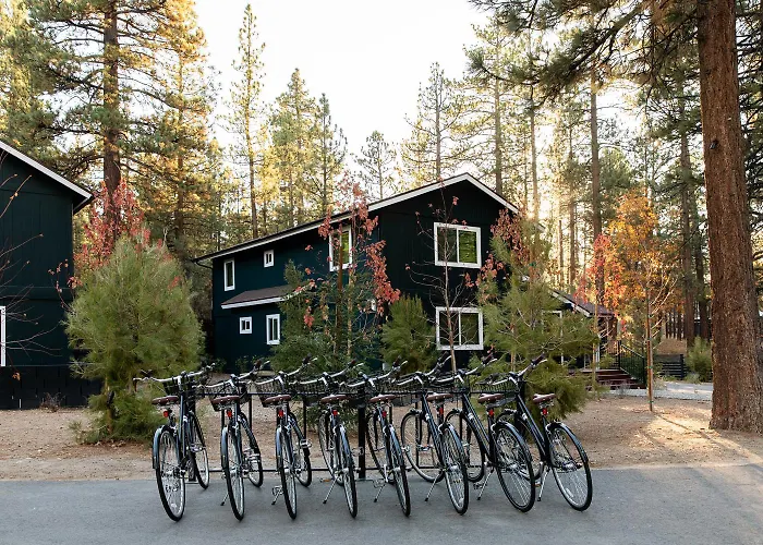 Np Boutique Lodge Big Bear Lake