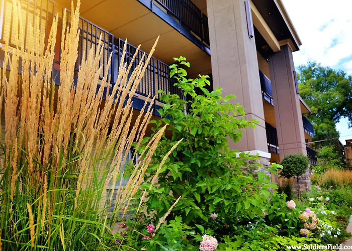 Centerstone Plaza Hotel Soldiers Field - Mayo Clinic Area Rochester