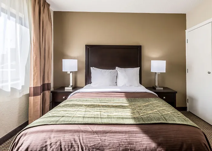 Comfort Inn Detroit Downtown