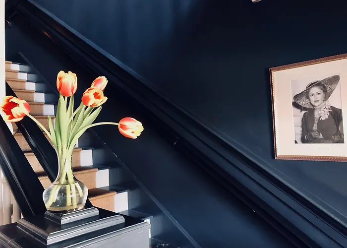 Enzo Hotel Provincetown