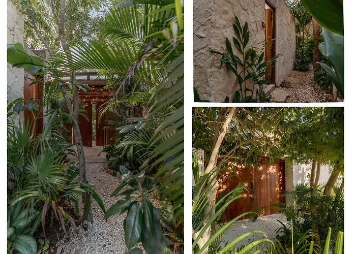 Entorno Tulum - Luxury Villas