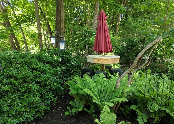 Elms Of Camden Bed & Breakfast