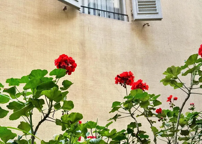 Hotel Cestelli Florence